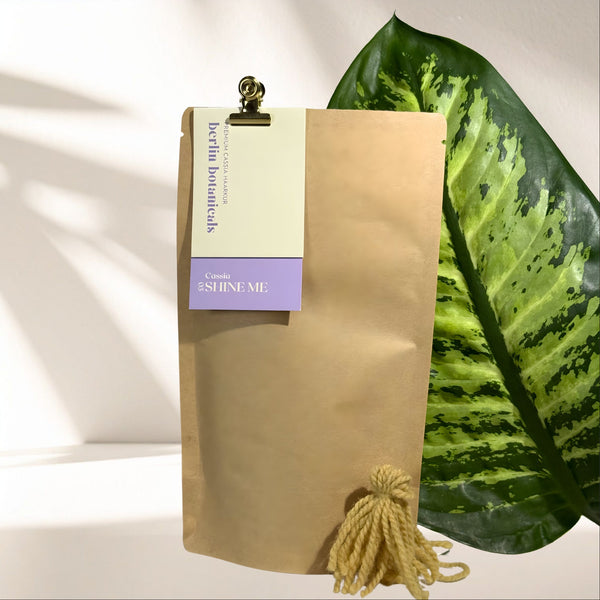 SHINE ME | Bio Cassia Haarkur & Pflanzenhaarfarbe